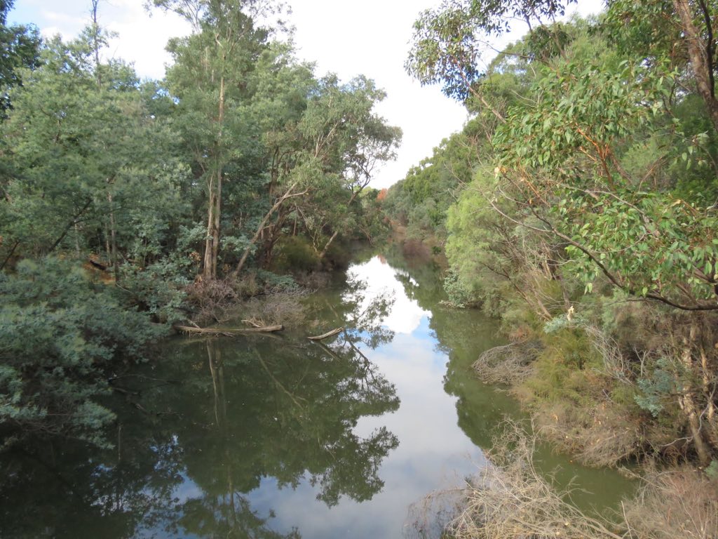 The Collie River and surrounding native landscape